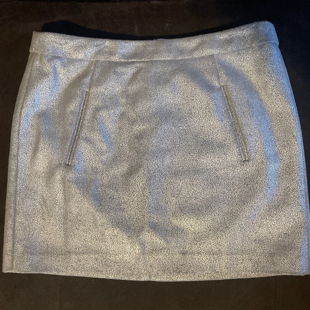 Silver Party mini skirt